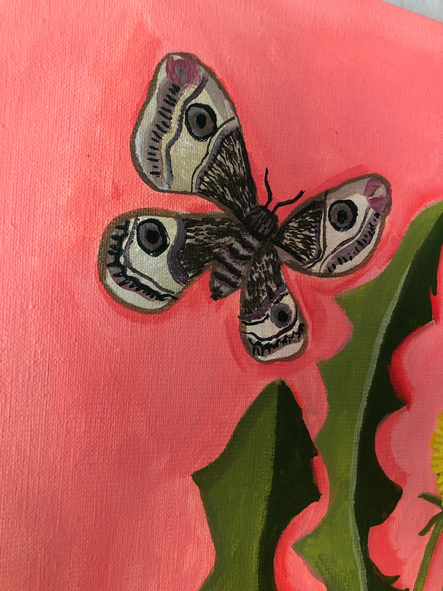 Handgeschilderde illustratie met nachtpauwoog op paardenbloem stilleven schilderij met roze achtergrond en gele wilde bloemen. Op dit uitbundige grote handgemaakte schilderij staat een boeket van naïeve gestileerde gele bloemen met vlinders en insecten in vrolijke kleuren. Dit stilleven schilderij met veldboeket heeft bloemen in een glazen jampot pot.